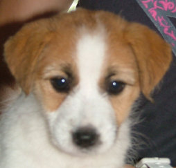 about_us002012.jpg