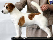classicyds_website002020.jpg